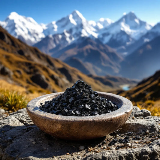 Résine de Shilajit dans un bol en pierre avec montagnes en arrière-plan