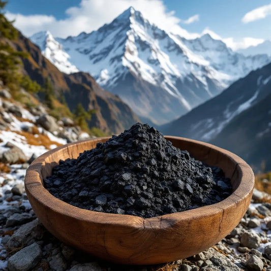 Résine de shilajit dans un bol devant l'Himalaya